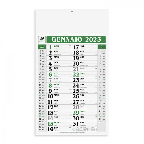 Olandese gigante